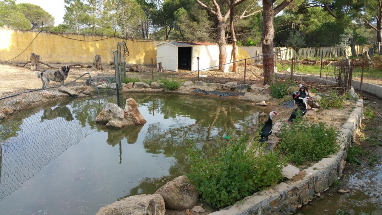 Quinta Vita - Vila Pera Almancil Exterior foto